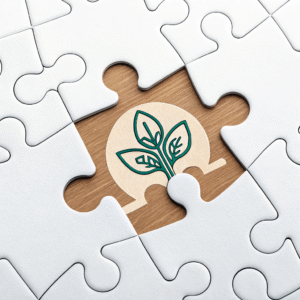 طراحی سایت اختصاصی و برندینگ