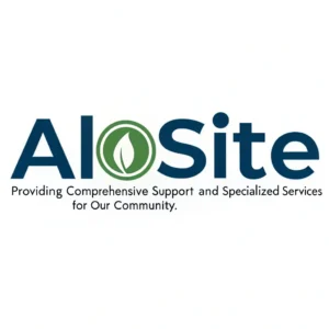 افزونههای سایت آموزشی وردپرس